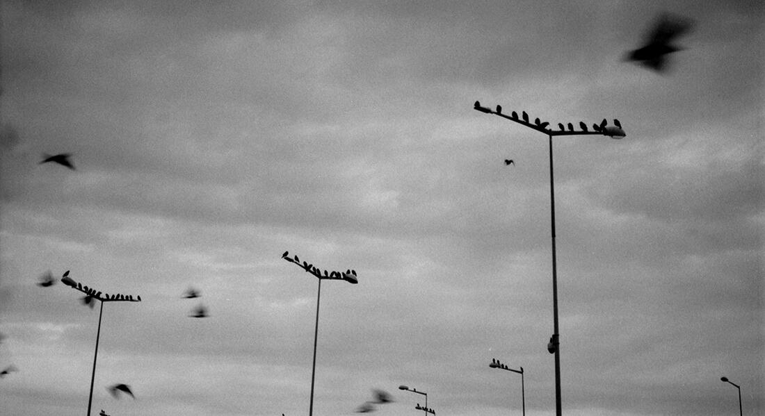 Untitled Untitled
